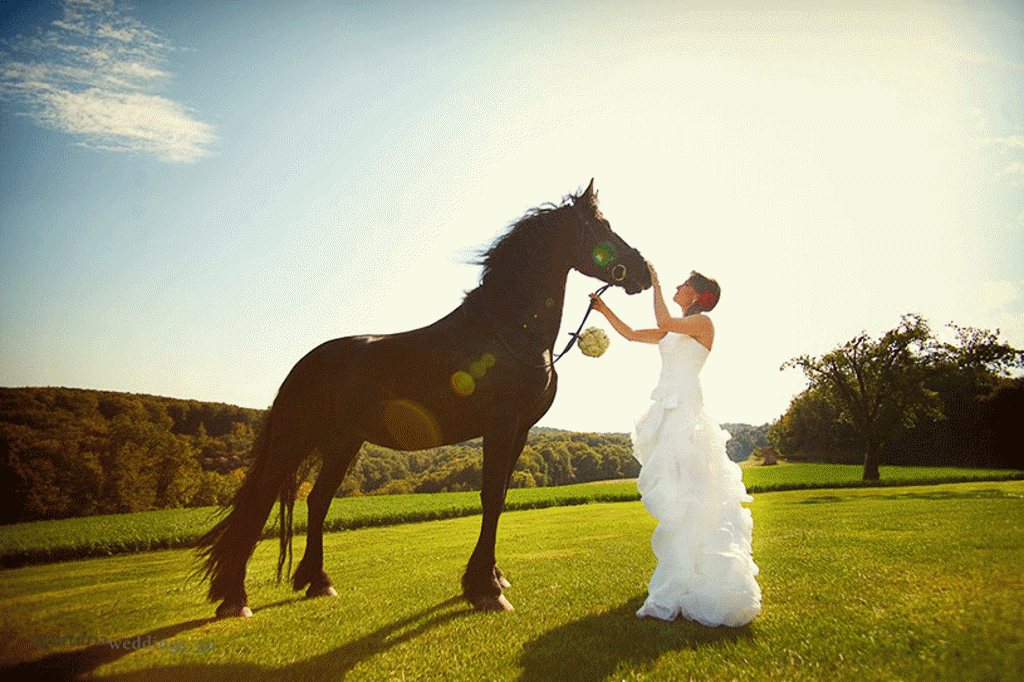 Nevesta z unikatnim rdečim okroglim poročnim šopkom boža črnega konja na posestvu Pule. Foto: Aperturia weddings