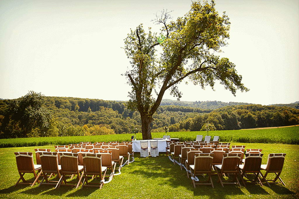 Poročni civilni obred pri prekrasni stari jablani na posestvu Pule, Trebelno. Foto: Aperturia weddings