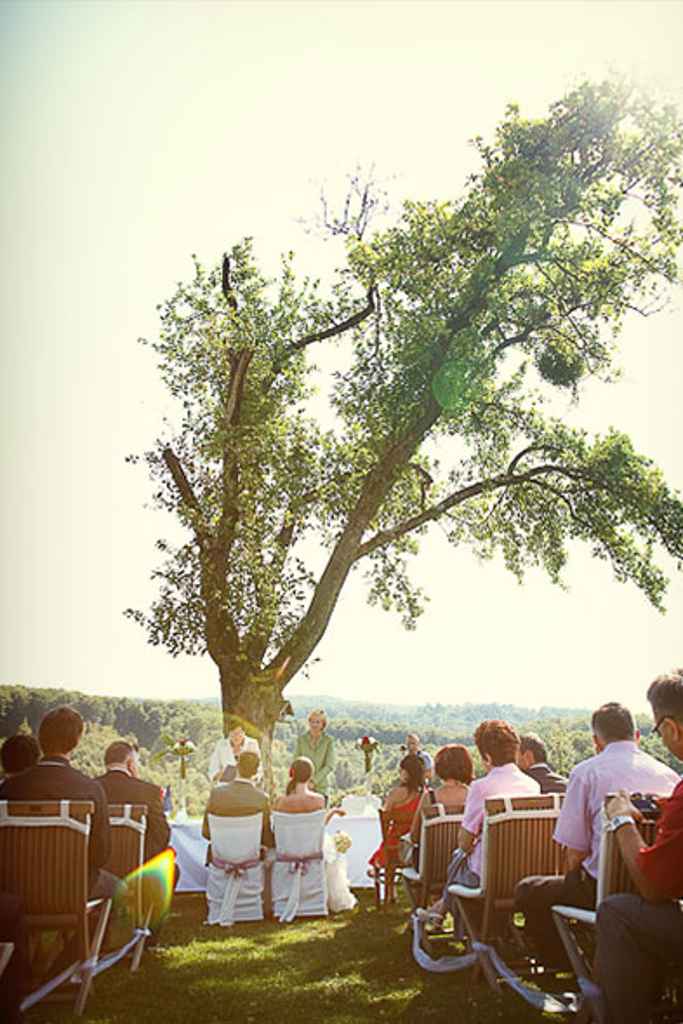 Civilni poročni obred na posestvu Pule. Foto: Aperturia weddings